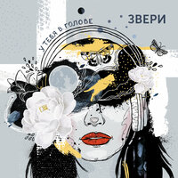 Котёнок - Звери