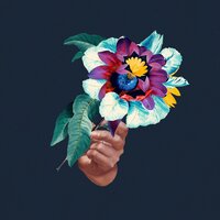 Nervous Tics - Maribou State, Holly Walker, Maceo Plex