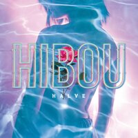 Inside Illumination - Hibou