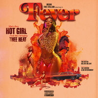 Simon Says - Megan Thee Stallion, Juicy J