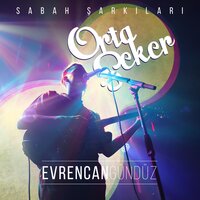Zeytin Ağacı - Evrencan Gündüz