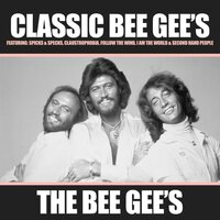 Everyday I Have To Cry - Bee Gees