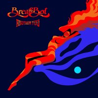 Don't Stop the Dance - Breakbot, Delafleur
