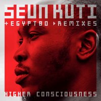 IMF - Seun Kuti, Egypt 80, Robert Glasper
