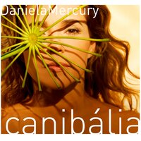 A Vida é Um Carnaval - Daniela Mercury
