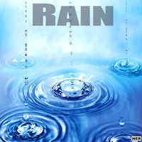 Relaxing Ocean Waves - Rain