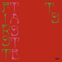 Taste - Ty Segall