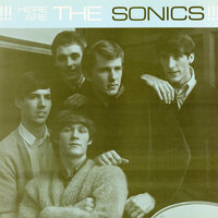 The Witch - The Sonics