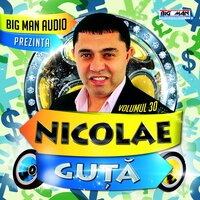 Soarele Imi Bate-N Fata - Nicolae Guta