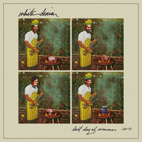 If You're Changing - White Denim