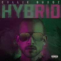 Show Love - Collie Buddz