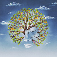 Apple Tree - Another Sky