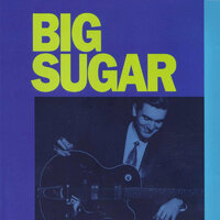 Devil Got My Woman - Big Sugar