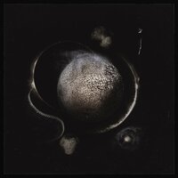 Vapula Omega - Enthroned
