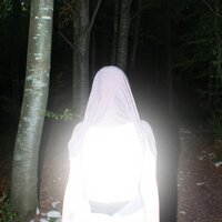 Verme - Gomma
