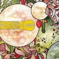 In Return - Torche