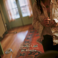 The True Story of What Was - Ani DiFranco