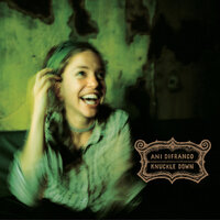 Parameters - Ani DiFranco
