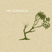 Hypnotized - Ani DiFranco