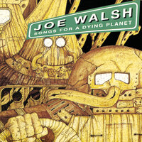 Vote For Me - Joe Walsh