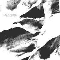 Detachment - Linea Aspera