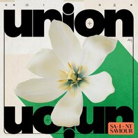 Fallen Trees - Saint Saviour