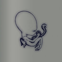 Svefn-g-englar - Sigur Rós