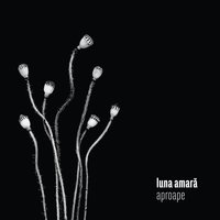 Doar Noi Doi - Luna Amara