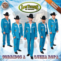 El Borrego - Los Tucanes De Tijuana