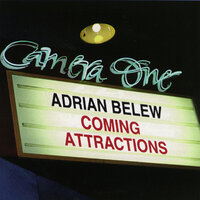 Bird In A Box - Adrian Belew