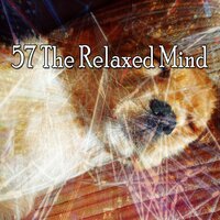 Freed from Insomnia. - Serenity Spa Music Relaxation