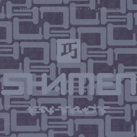 Move Any Mountian - The Shamen