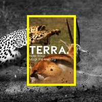 Terra. - Nate Rose, Mogli the Iceburg