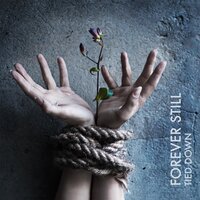 Save Me - Forever Still