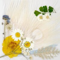 WAKE ME UP - Taeyang