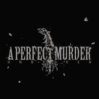 A Perfect Murder