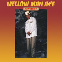 Mentirosa - Mellow Man Ace