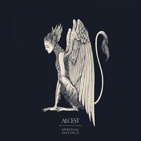 Le miroir - Alcest