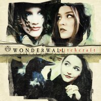 Never Wore A Gun Before - Wonderwall