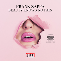 Why Does It Hurt When I Pee - Frank Zappa