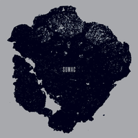 Image of Control (II) - Sumac