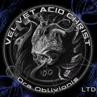 Damnation - Velvet Acid Christ