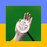 Trunk Of A Tree - Frankie Cosmos