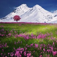 Relaxation - Ayurveda, Yoga Workout Music, Musica para Estudiar