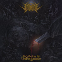 Victim - Vitriol
