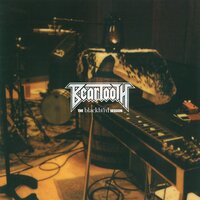 Clever - Beartooth, Caleb Shomo