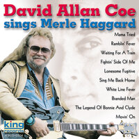 The Fightin' Side Of Me - David Allan Coe