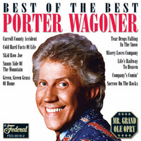 Cold Hard Facts Of Life - Porter Wagoner