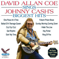 Ring Of Fire - David Allan Coe