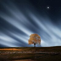Massage Music - Study Alpha Waves, Spa & Spa, Sleep Baby Sleep, Study Alpha Waves, Spa & Spa
